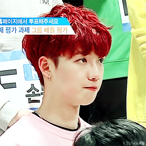프로듀스 101 시즌2 브랜뉴뮤직 알파카 임영민 영업글